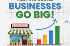 Business Growth Consulting & SEO Audit for MSME Company